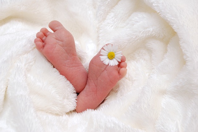 Co dělá novorozenec? Vývoj a chování malého miminka