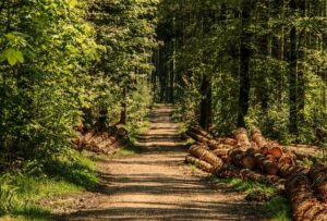 Jak vyvolat porod přirozeně: Domácí metody a rady od odborníků