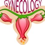 Choceň gynekologie Mudr. Heleynová: Recenze od pacientů