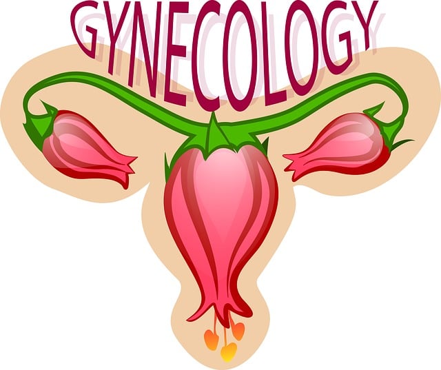Centrum pro nemoci prsu gynekologie: Prevence a diagnostika