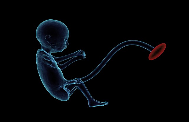Jednání ultrazvuku v období těhotenství: Bezpečnost a nutnost pro kontroly