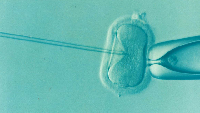 2. Variace délky těhotenství po umělém oplodnění: Co brát v úvahu při výpočtu termínu porodu po IVF?