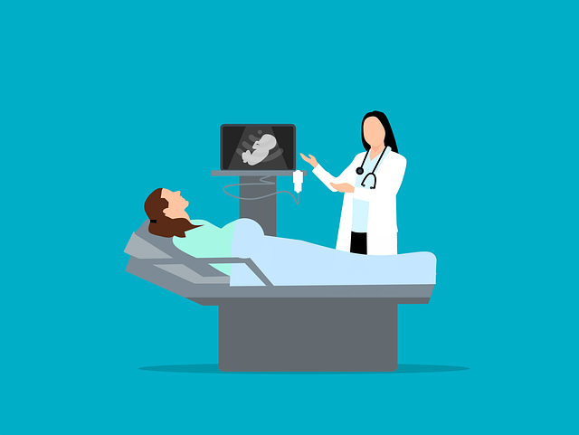 Dodatkové informace získané ultrazvukem plodu: Význam při‌ detekci vrozených‌ vývojových vad, srdečních abnormalit a možných komplikacích