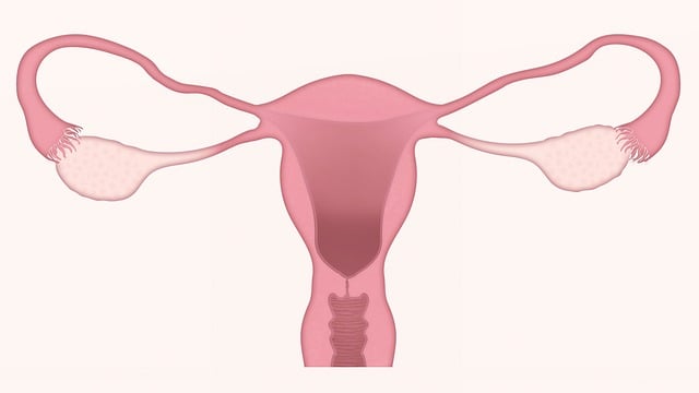 Počet návštěv u gynekologa: Doporučení a individuální potřeby