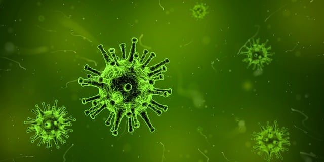 5. Role kultivace bakterií v prevenci a monitoringu gynekologických onemocnění:‍ Indikace​ a možnosti prevence infekcí