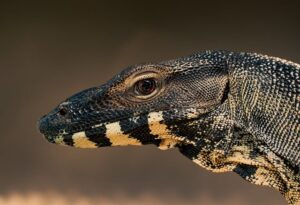 Nainstalovat monitor dechu: Krok za krokem průvodce bezpečnou instalací